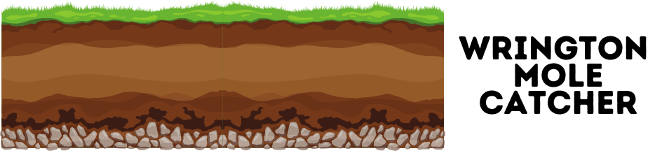 Wrington Mole Catcher
